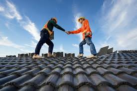 Best Solar Panel Roofing Installation  in Villas, FL